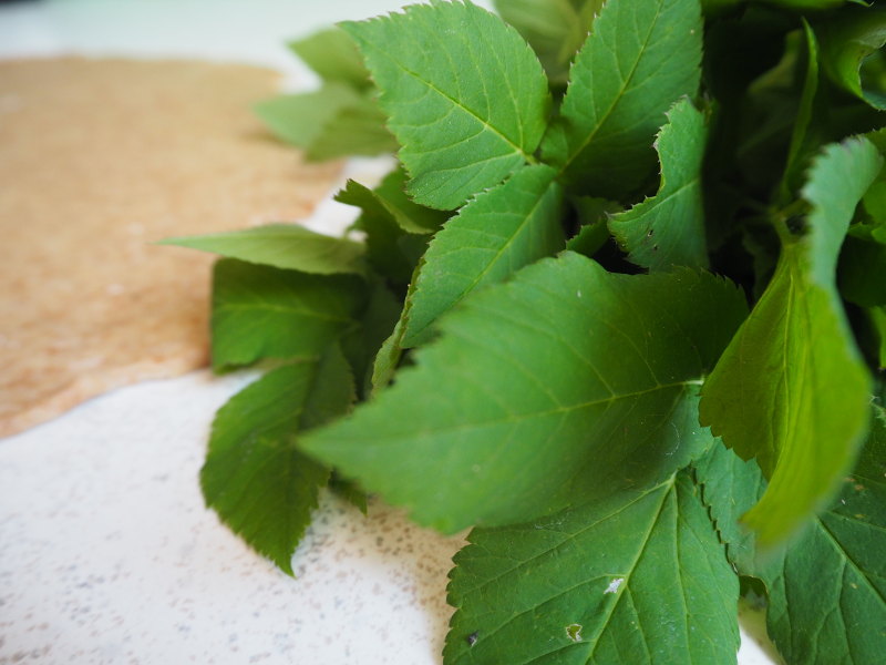 goodblog: Dreierlei vegetarische Quiche - Giersch-Quiche Zubereitung