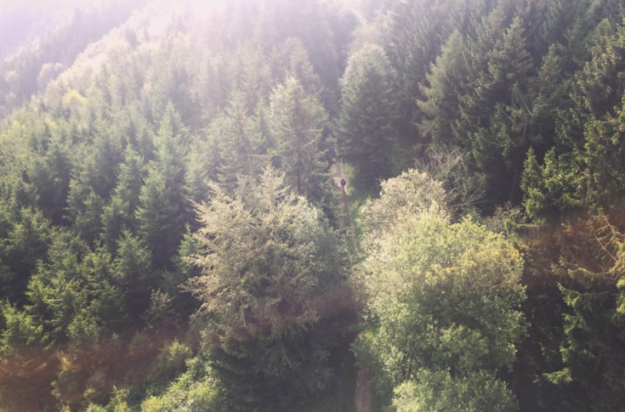 goodblog: Pilgern - Stefan Oberfellner