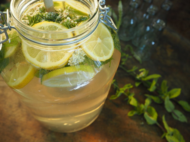 goodblog: wild werden - Sekt selbermachen