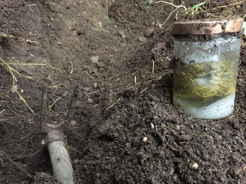 goodblog: Wipferlsirup vergraben - endlich gefunden