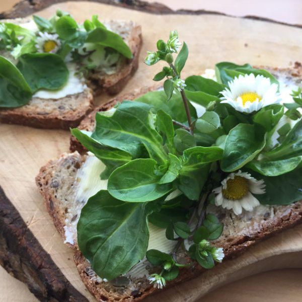 goodblog: Natürlich Entschlacken im Frühling - Kräuter aufs Brot