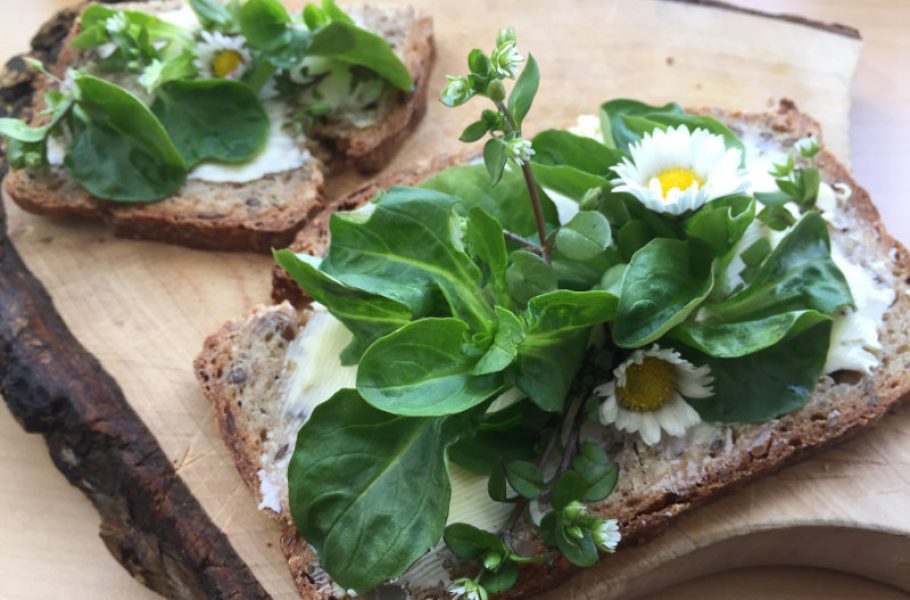 goodblog: Natürlich Entschlacken im Frühling - Kräuter aufs Brot