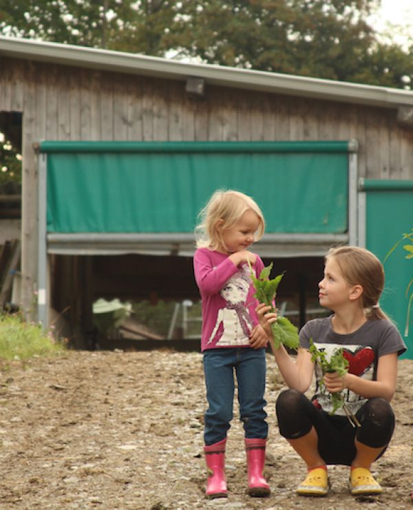 goodblog im Biomagazin: Schule am Biohof Losbichl (c) Burcusel/Huber